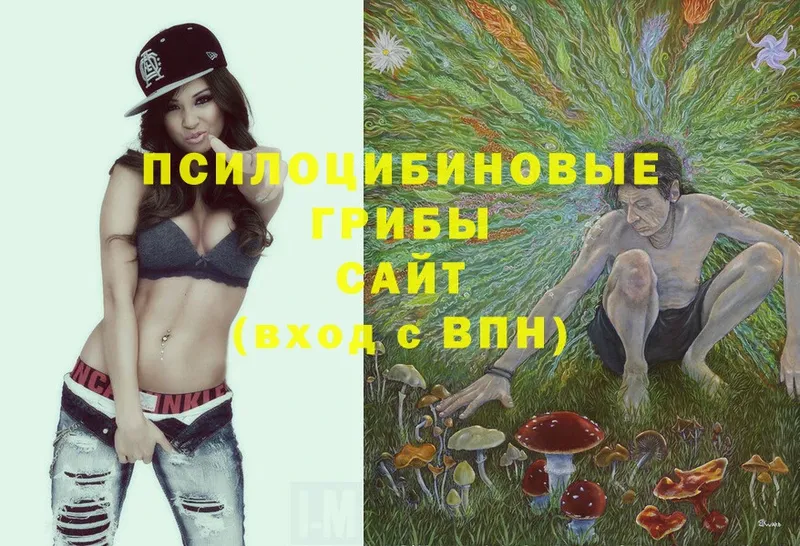 Псилоцибиновые грибы Psilocybine cubensis  Покровск 